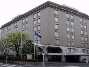Pearl Hotel Mizonokuchi Καβασάκι Δωμάτιο φωτογραφία